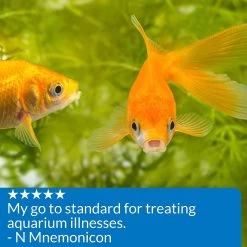 API Pimafix - 16 Fl Oz -Fish Supplies Store api pimafix 16 fl oz 121639