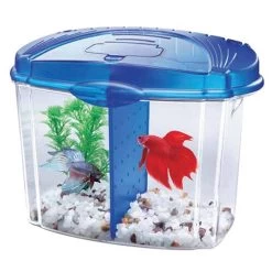 Aqueon Betta Bowl Aquarium Kit - Blue - 0.5 Gal