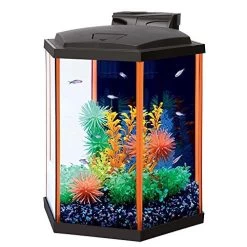 Aqueon NeoGlow LED Aquarium Kit - Hex - Orange - 8 Gal