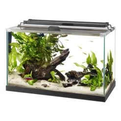 Aqueon Rimless Rectangle Aquarium - 10 Gal