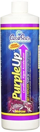 CaribSea PurpleUp - 16 Fl Oz