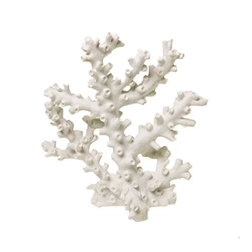 Exotic Environments Octopus Coral Resin Aquatics Decoration - White - Small 1 Exotic Environments Octopus Coral Resin Aquatics Decoration - White - Small