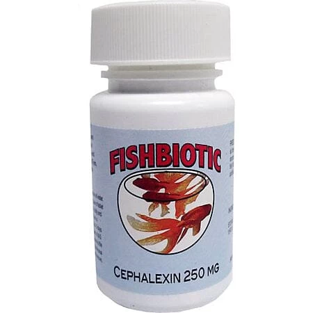 Fishbiotic Fishbiotic Cephalexin Capsules Fish Medication - 250 Mg - 60 Count 1 Fishbiotic Fishbiotic Cephalexin Capsules Fish Medication - 250 Mg - 60 Count