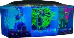 Glofish Betta Trilogy Aquarium Aquatics Starter Kits