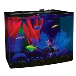 Glofish LED Crescent Aquarium Kit Aquatics Starter Kits - 5 Gal