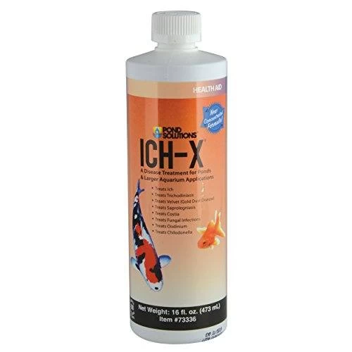 Hikari Ich-X Pond Treatment - 16 Fl Oz 1 Hikari Ich-X Pond Treatment - 16 Fl Oz