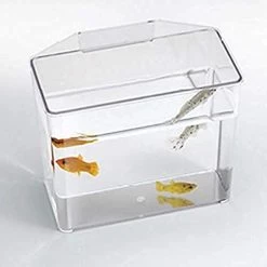 Lee's Break Resistant Specimen Container - Large