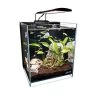 Lifegard Aquatics Low Iron Ultra Clear Aquarium - 5 Gal - 9.84" X 9.84"