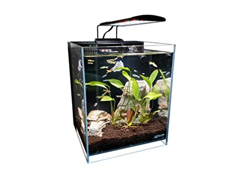 Lifegard Aquatics Low Iron Ultra Clear Aquarium - 5 Gal - 9.84" X 9.84" 1 Lifegard Aquatics Low Iron Ultra Clear Aquarium - 5 Gal - 9.84" X 9.84"