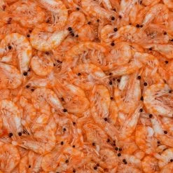 San Francisco Bay Brand Frozen Krill - 8 Oz 9 San Francisco Bay Brand Frozen Krill - 8 Oz -Fish Supplies Store san francisco bay brand frozen krill 8 oz 318315