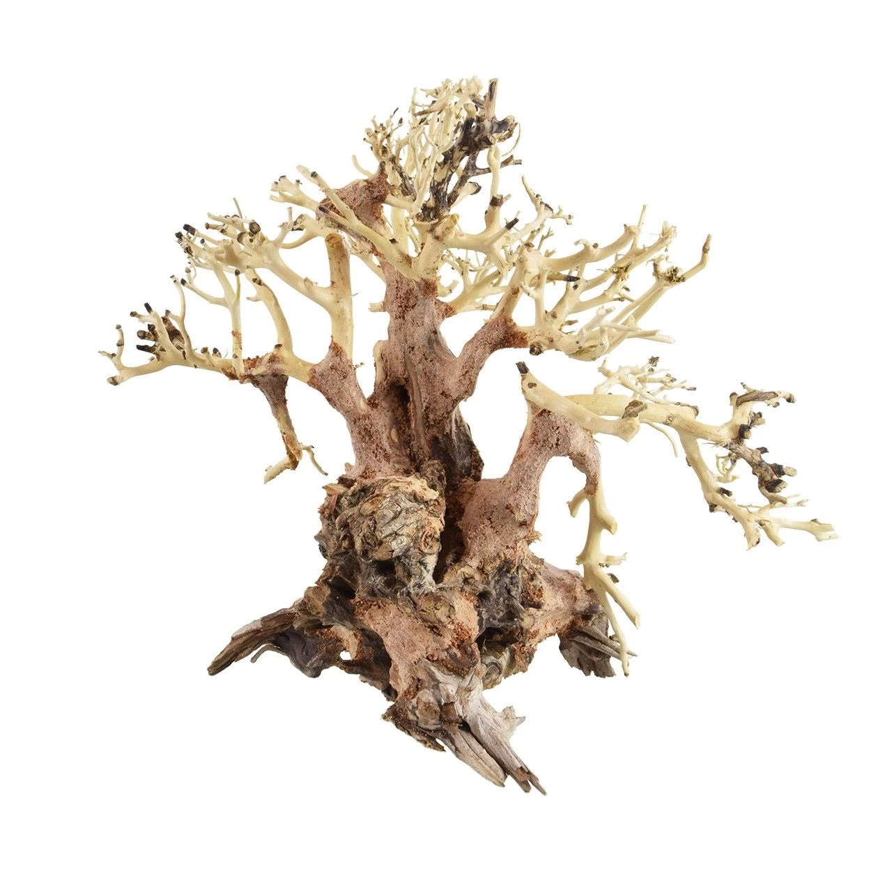 Underwater Treasures Banyan Bonsai Wood - Small - Pack Of 2 1 Underwater Treasures Banyan Bonsai Wood - Small - Pack Of 2