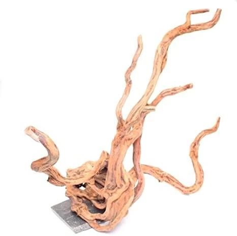 Underwater Treasures Cholla Wood - Medium 1 Underwater Treasures Cholla Wood - Medium