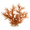 Underwater Treasures Staghorn - X-Large