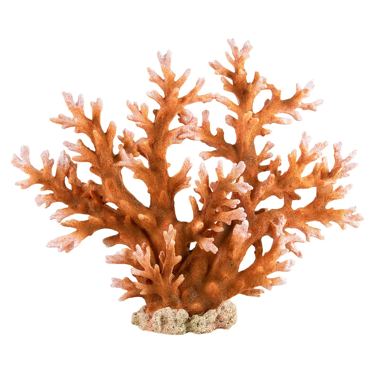 Underwater Treasures Staghorn - X-Large 1 Underwater Treasures Staghorn - X-Large